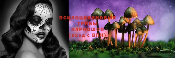 герыч Аркадак