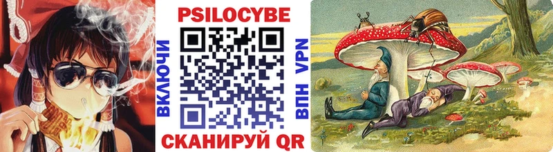 наркошоп  Ижевск  Псилоцибиновые грибы GOLDEN TEACHER 