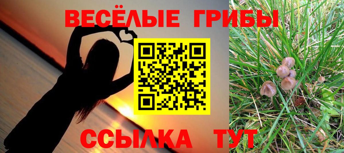 Галлюциногенные грибы прущие грибы  Галлюциногенные грибы Cubensis  Ижевск  Вход с VPN 